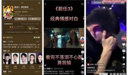 歌手丑事大爆料短视频,短视频揭露娱乐圈不为人知的秘密